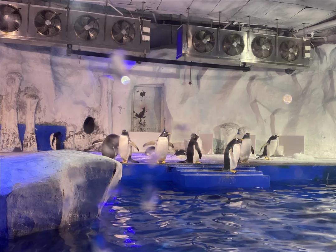 微信圖片_20210113172733.jpg 微信圖片_20210113172733.jpg